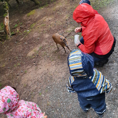 Wildpark Ausflug
